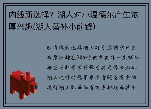 内线新选择？湖人对小温德尔产生浓厚兴趣(湖人替补小前锋)
