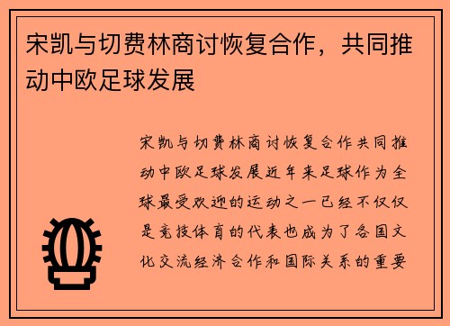 宋凯与切费林商讨恢复合作，共同推动中欧足球发展